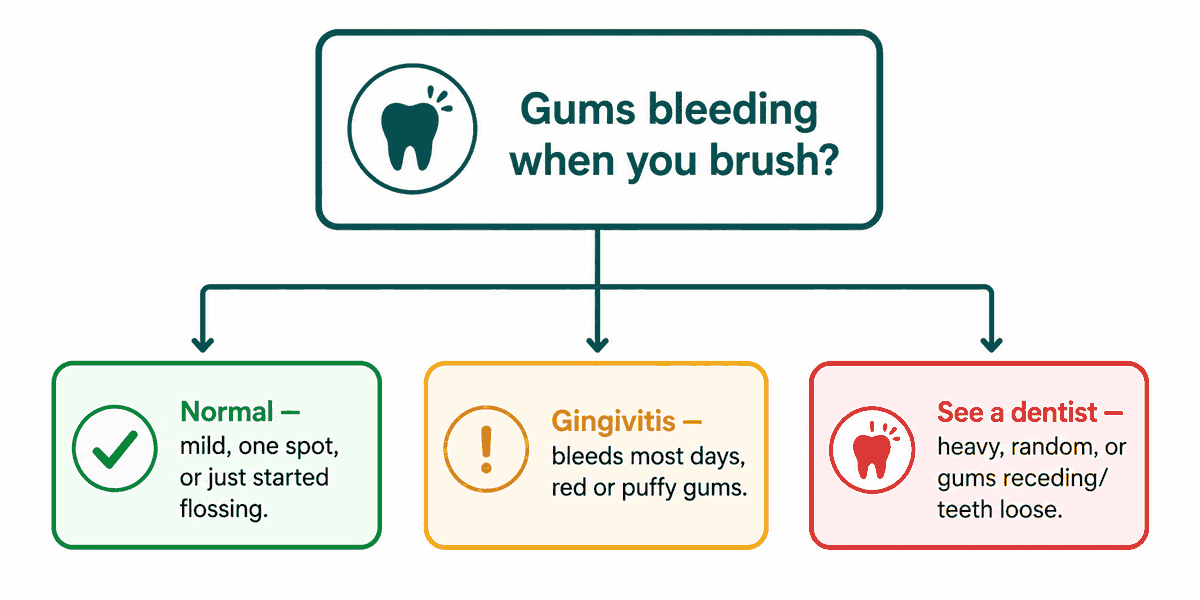 Decision-flow diagram branching from "Gums bleeding when you brush?" into three outcomes: normal, gingivitis, or see a dentist